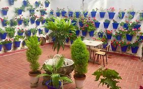 Apartamento Toril-Casco Histórico